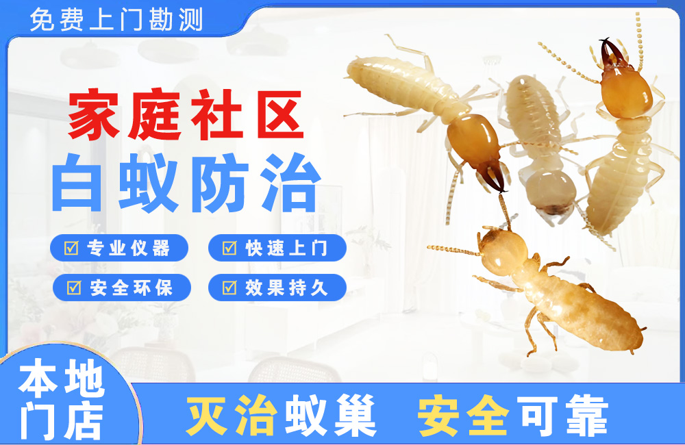 三亚家庭社区白蚁防治