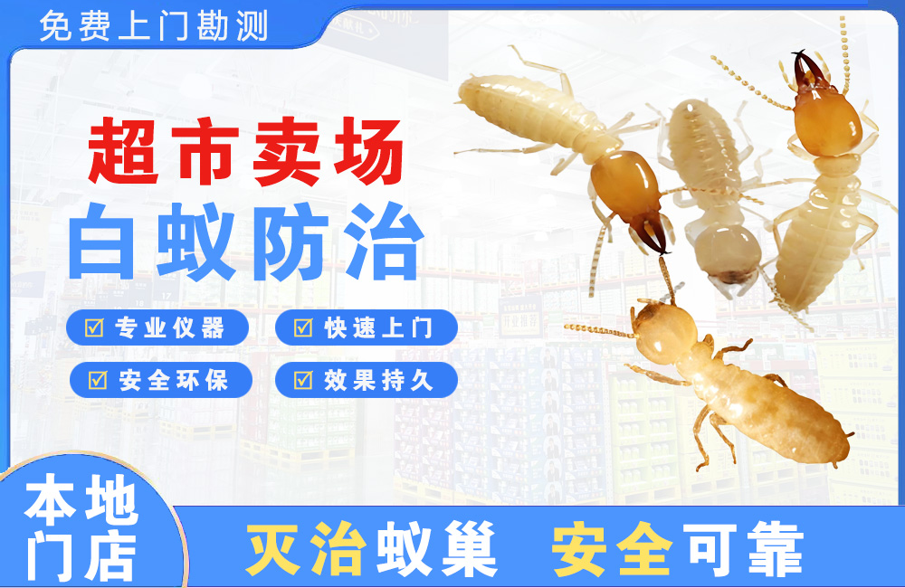 三亚超市卖场白蚁防治