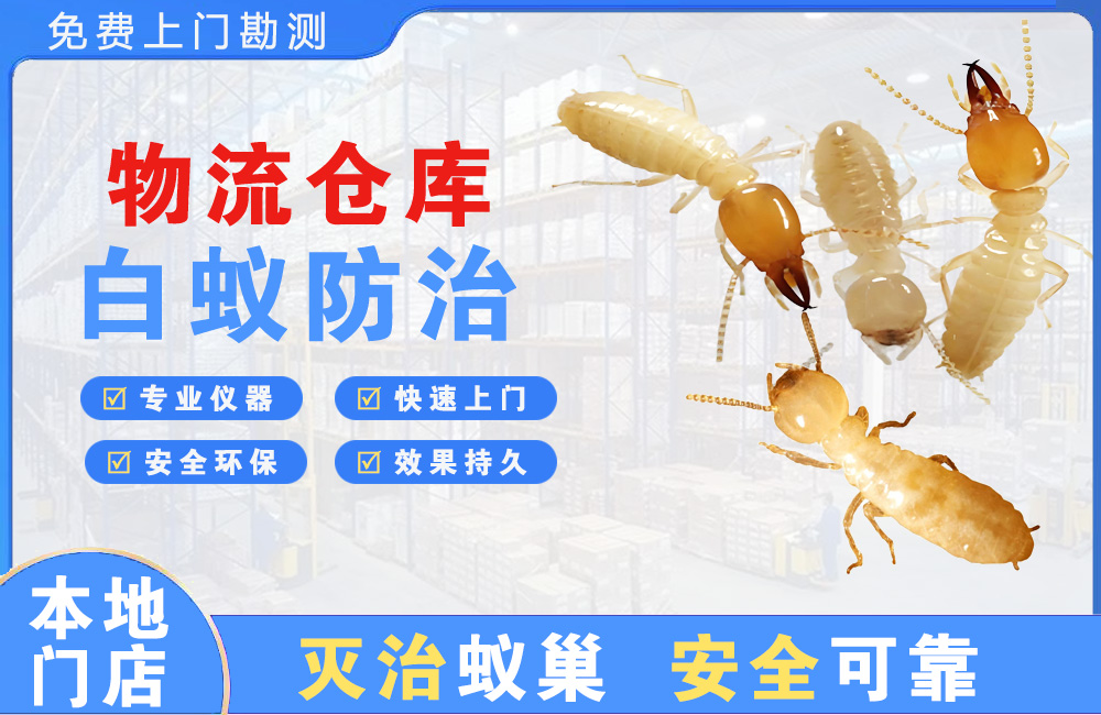 三亚物流仓库白蚁防治