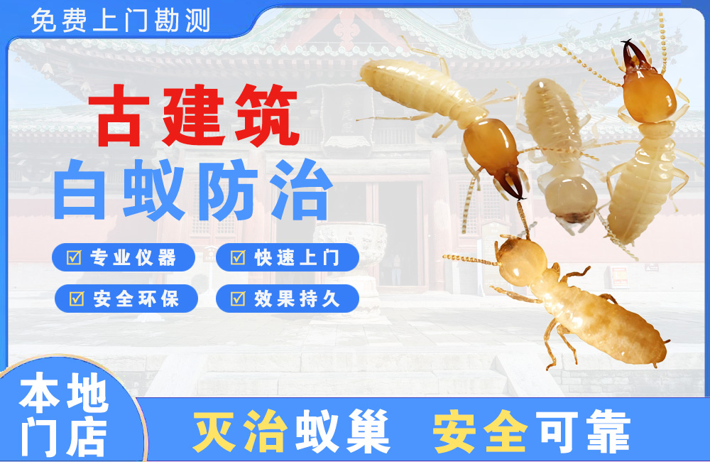 三亚古建筑白蚁防治