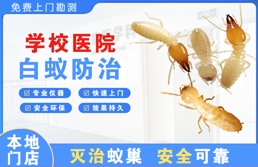 三亚学校医院白蚁防治