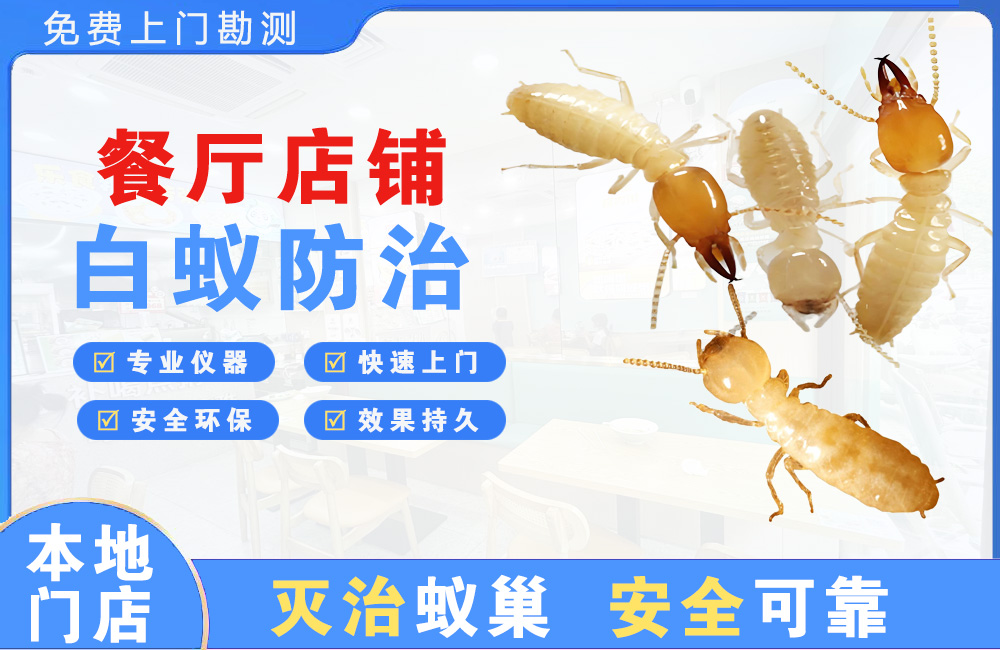 三亚餐厅店铺白蚁防治